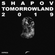 Axtone Approved: Shapov Tomorrowland 2019 image