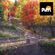 Autumn Chill [ Chillhop / Lofi Hip Hop Mixtape ] image