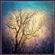 Resonance - #009 - Deep Progressive House - Exit image