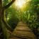 Jungle Jam image
