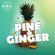 Pine & Ginger image