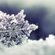 WHITE SNOW FLOWER - NS PROJECT ft BM TRANCE LOVE MIX image