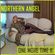Northern Angel - ONE MORE TIME [Best of 2000s Hits] part II image