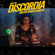 Live DJ Yve | A Discordia Voltou | Baile da Discordia #25 12/05/2021 image