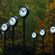 Time Stops For Nobody image