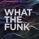 Rectified - What The Funk? image