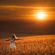 Emotional Upliting Trance Episode 001 image