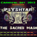 The Sacred Mask _-_ Set - Carnival Winter 2013_-_Mixed by PsYShtar_-_Progressive Psytrance image