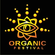 Organic Festival 13.07.18 PsyTrance/Full-On Set image