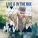 MR.V LIVE (The Book Is On The Table Mix) image