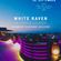 Dan von Schulz  - White Raven SkyBar & Lounge - Summer Closing Party Live - Hilton Budapest. image