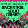 Ancestral Solid Gumbo 2017 Promo Mix by DJ Sean Sax image