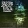 Bassrk & Kaiza Promo Mix 2011 image