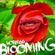 hofer66 - blooming - live at ibiza global radio 170605 image