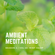 Ambient Meditations Season 2 - Vol 40 - Mint Julep image