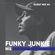 Guest mix #4 | Funky Junkie // Niš image