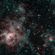 Pulsar III-Tarantula Nebula image