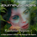 PGM 356: RAINFOREST SOJOURN 7 (a tribal-ambient chillout mix through the tropics) image