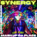 Synergy Vol 11 - L'Arte Dei Rumori b2b LadyLight - Mash Up Da Place image