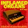 INFLAMED ORGANS : sizzling vintage R&B organ instros image