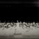 / the orchestra bizar / image