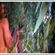 "Nudist Sunset With Visionary Ghosts" mixtape by Pablo Zuleta Zahr image