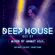 DEEP HOUSE SET 27 - AHMET KILIC image