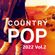 COUNTRY POP VOL.2 image
