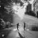 Summer In The City (Downtempo / Soul / Jazz) image