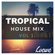 Tropical House Mix Vol. 1 image