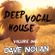 DEEP VOCAL HOUSE - VOLUME ONE image