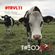 T#EODOR3 Presents - #TRVL11 - Tech Cows image