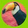 Le Toucan 002 - La Classe Armoricaine avec Nicolas image