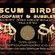 Acidfairy @ Acid Scum Birds on Safehouse radio April 2021 image