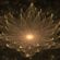life image