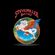 Steve Miller Band - Tribute image