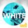 DJ Paulo Pringles EletroWhite 2015 image