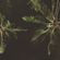 #14 image