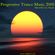 Progressive Psy Trance 2005 Mixed By Dj Hands (http://www.muskaria.com) image