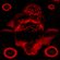 Fein vom Acker 2030 - mix by Zap'al'odd image
