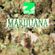 Marijuana - Volume 1 - 30+ Minutes Of Marijuana - Marijuana Records image