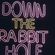 Episode 1 -  Down the rabbit hole image