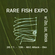RARE FISH EXPO - ogledni primjerak - Zao&Klinick image