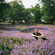 Fergus Clark w/ DJ Table Table - 6th February 2023 image