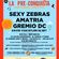 Live @ Festival Preconquista Abril 2018 image