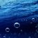 Edu Poppo - Housers July16 image
