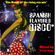 Spanish Flavored Disco V (The house of the rising Sun mix) image