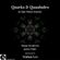 "Quarks & Quaaludes" October Guest Mix Nishan Lee - www.saturosounds.com image