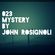 023 - MYSTERY by John Rosignoli image