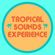 Tropical Sound Experience - Ajicero Sessions image
